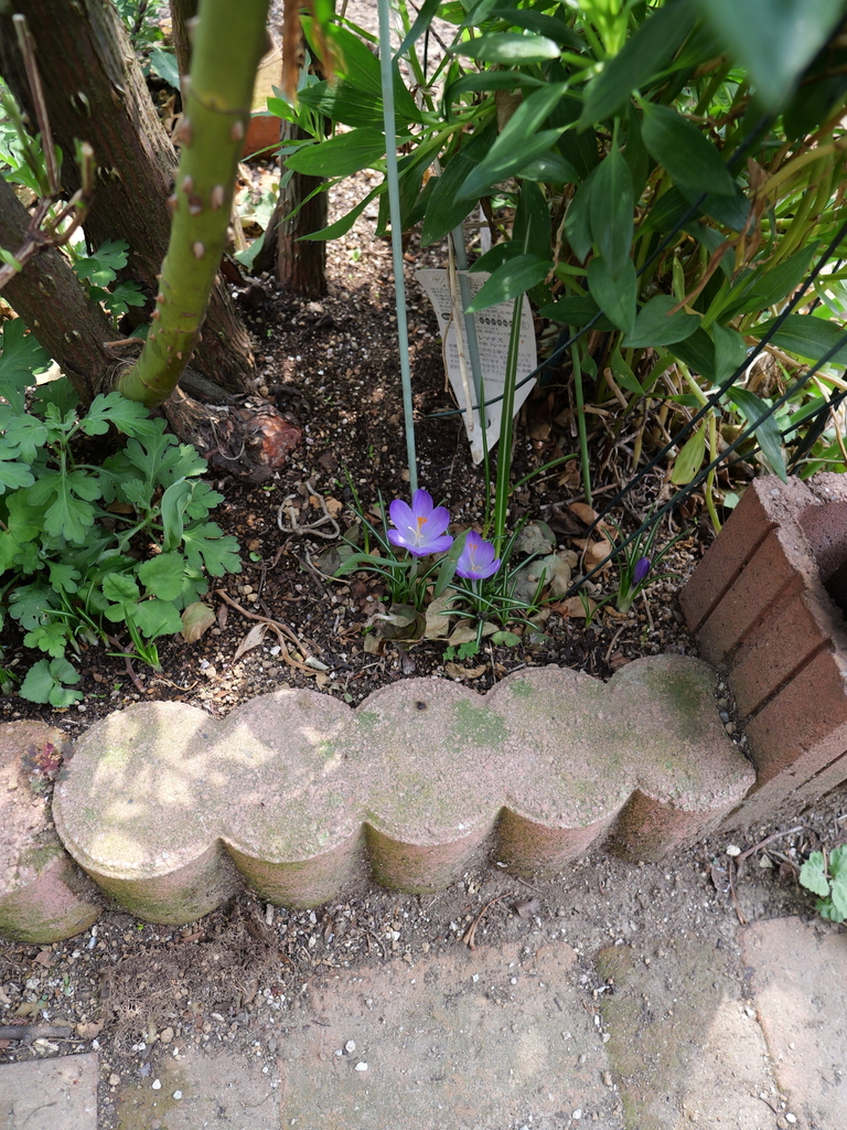 2025-03-24 11_32№(0325).JPG