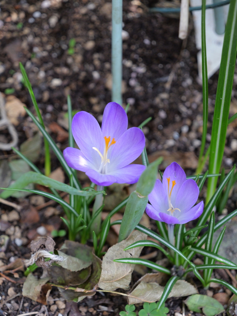 2025-03-24 11_32№(0326).JPG