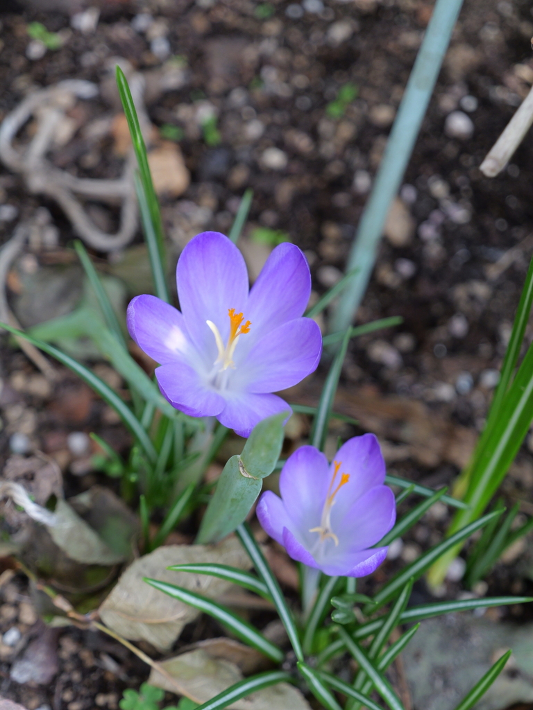 2025-03-24 11_32№(0328).JPG