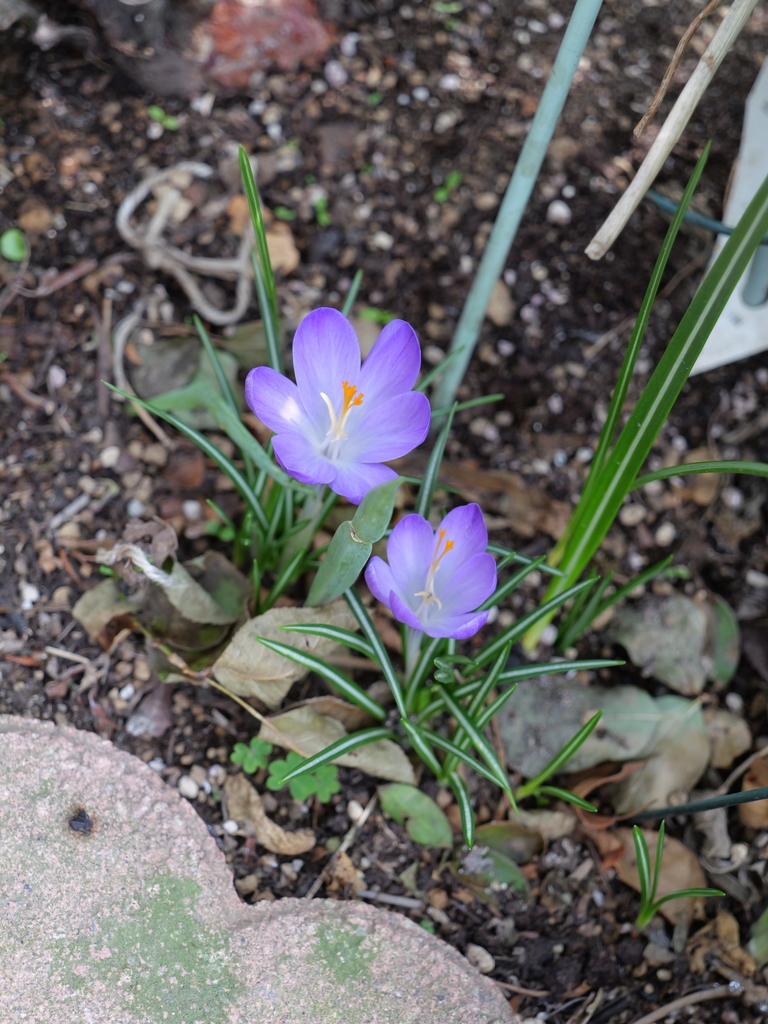 2025-03-24 11_32№(0329).JPG