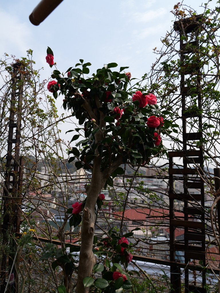 2025-03-24 11_33№(0330).JPG
