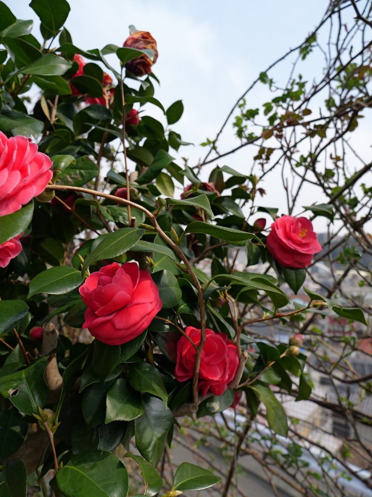 2025-03-24 11_33№(0334).JPG