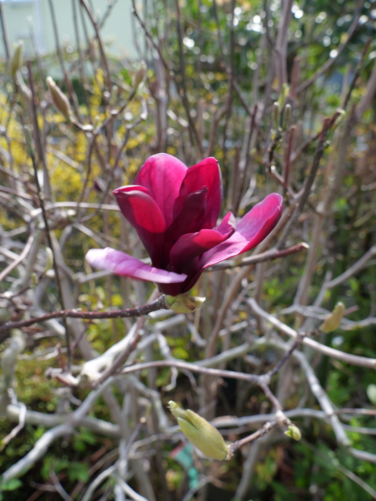 2025-03-25 13_59№(0005).JPG