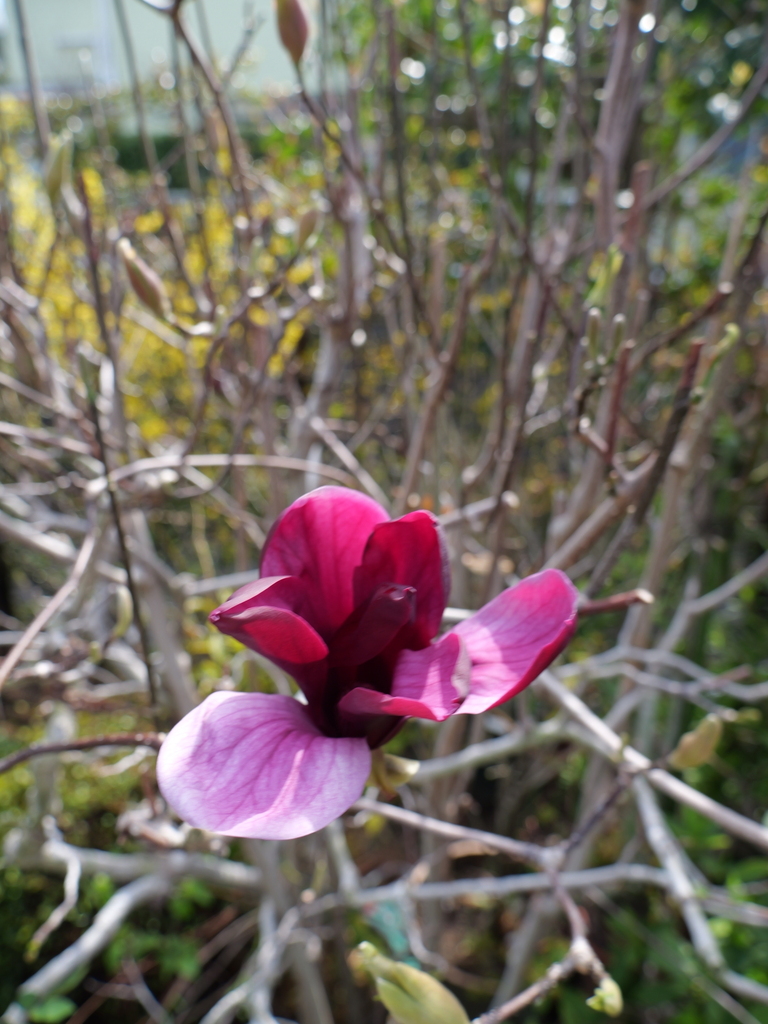 2025-03-25 13_59№(0007).JPG