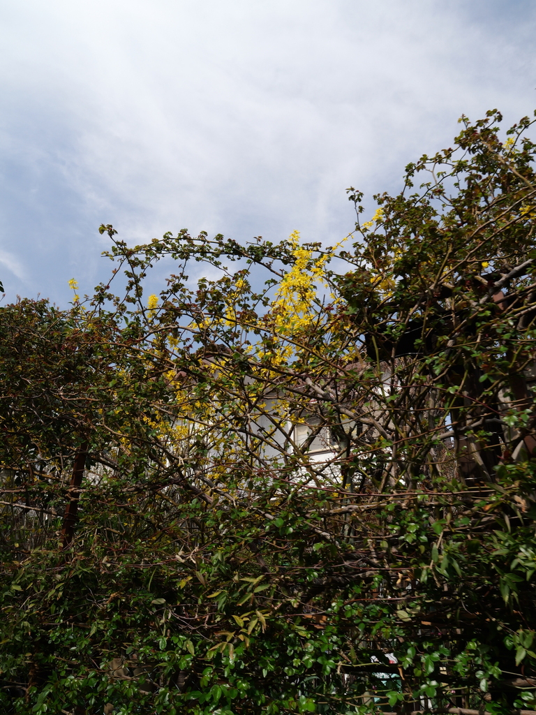 2025-03-25 14_02№(0021).JPG