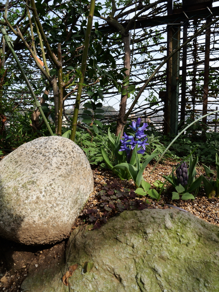 2025-03-25 14_06№(0025).JPG