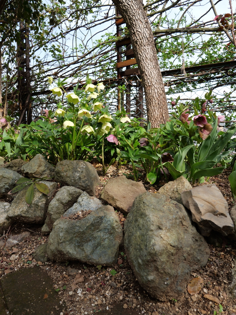 2025-03-25 14_07№(0029).JPG