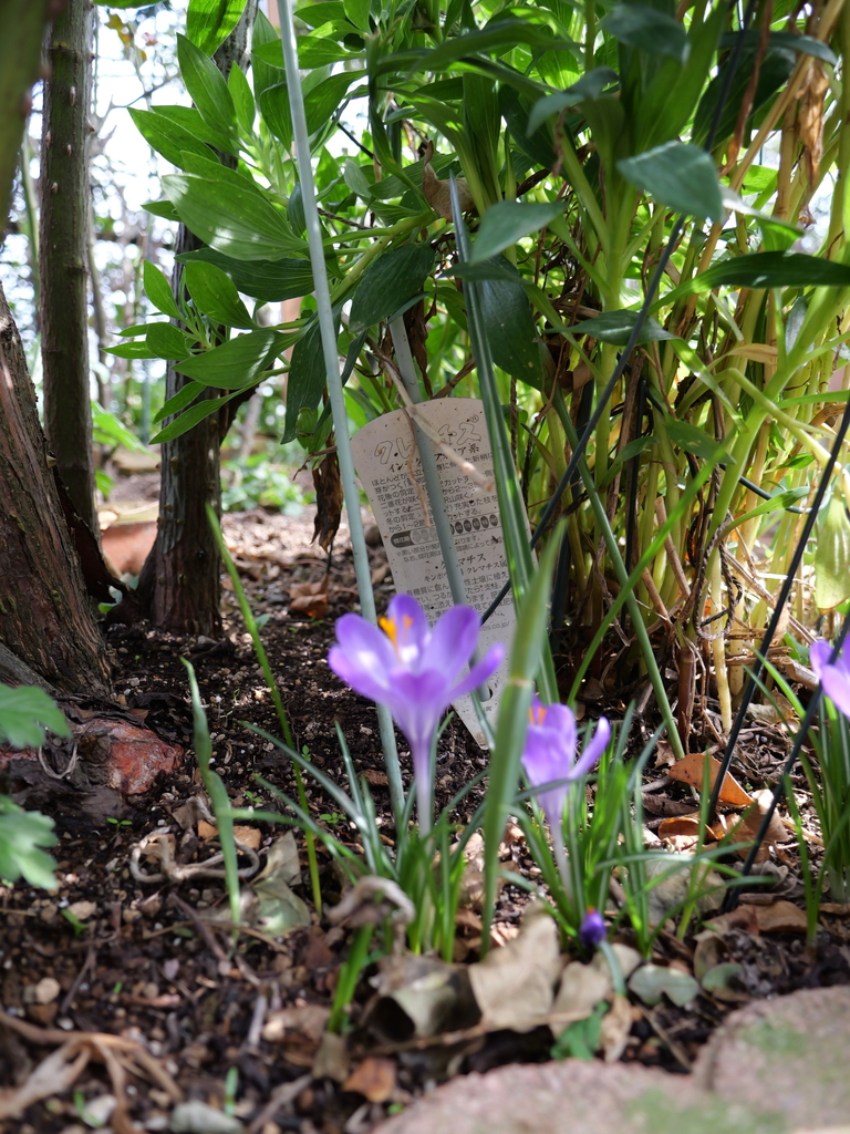 2025-03-25 14_09№(0034).JPG