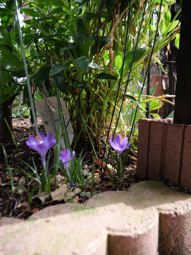 2025-03-25 14_09№(0035).JPG