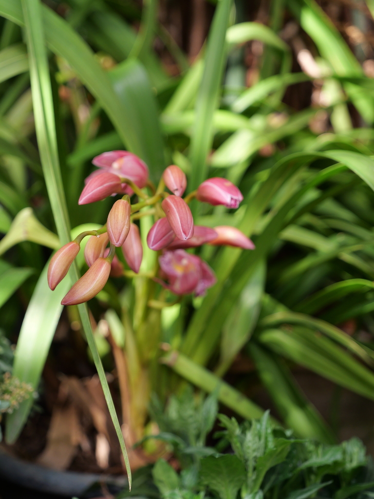 2025-03-25 14_14№(0046).JPG