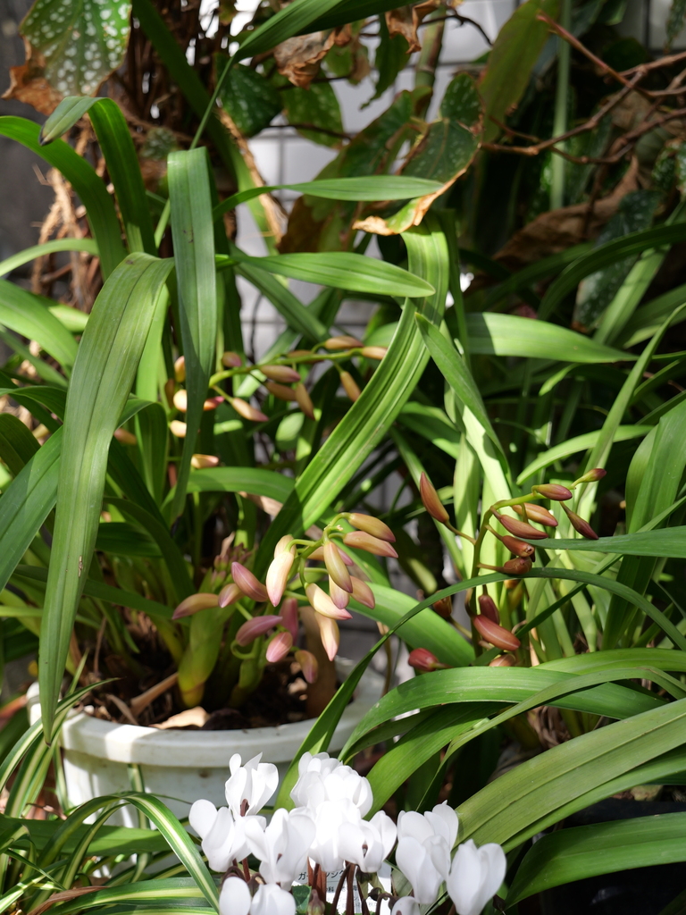 2025-03-25 14_14№(0047).JPG