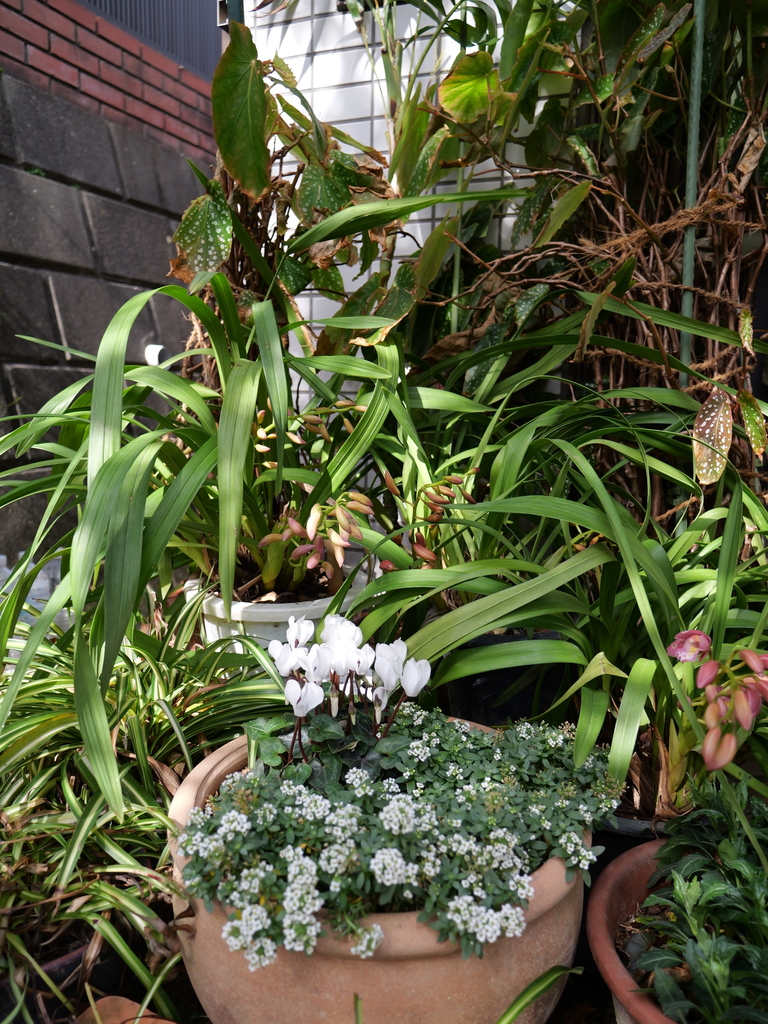 2025-03-25 14_14№(0048).JPG