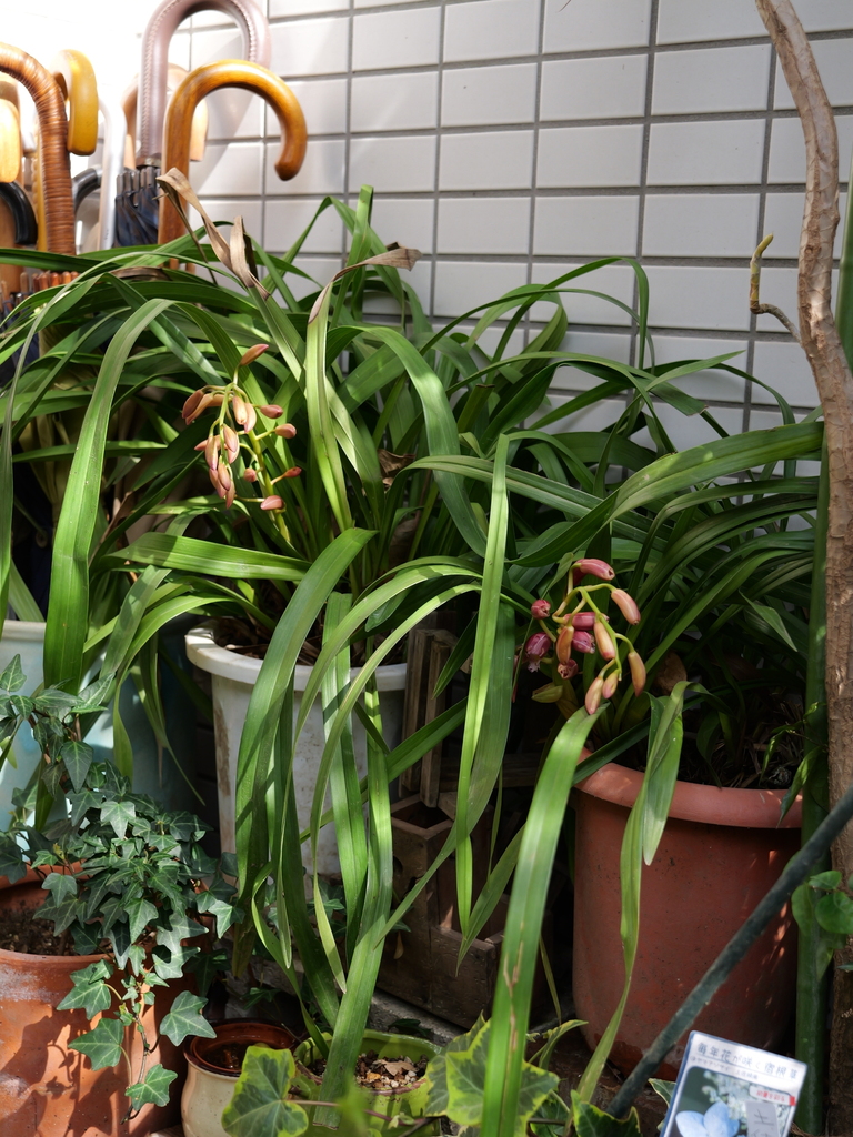 2025-03-25 14_14№(0049).JPG