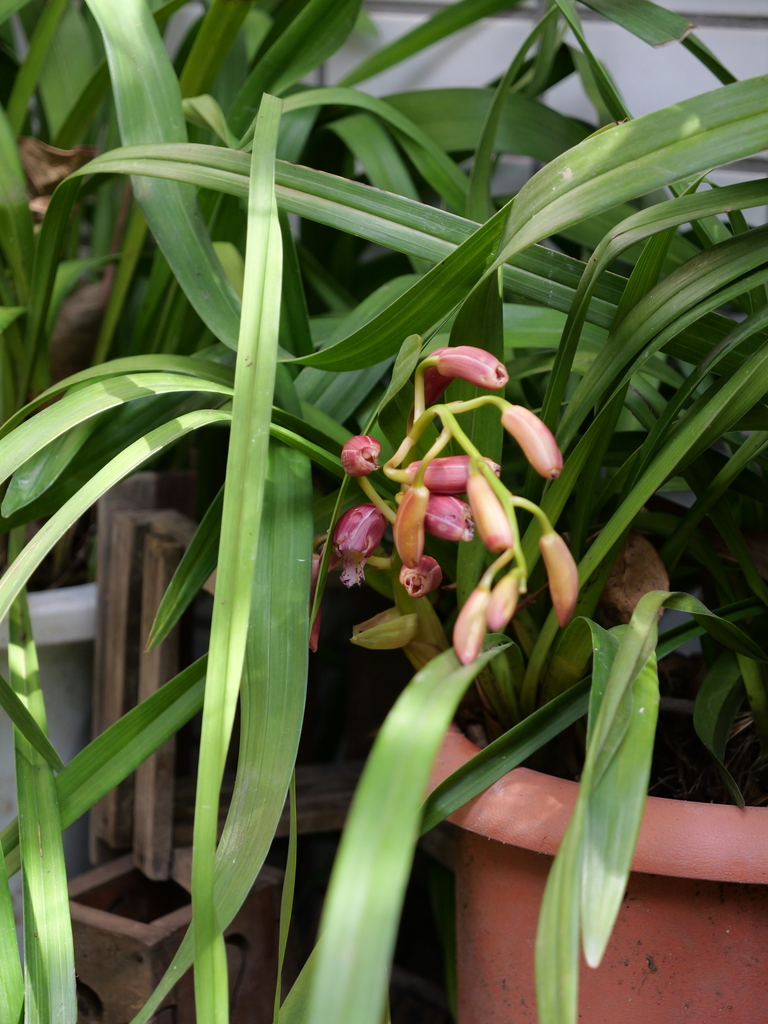 2025-03-25 14_14№(0050).JPG