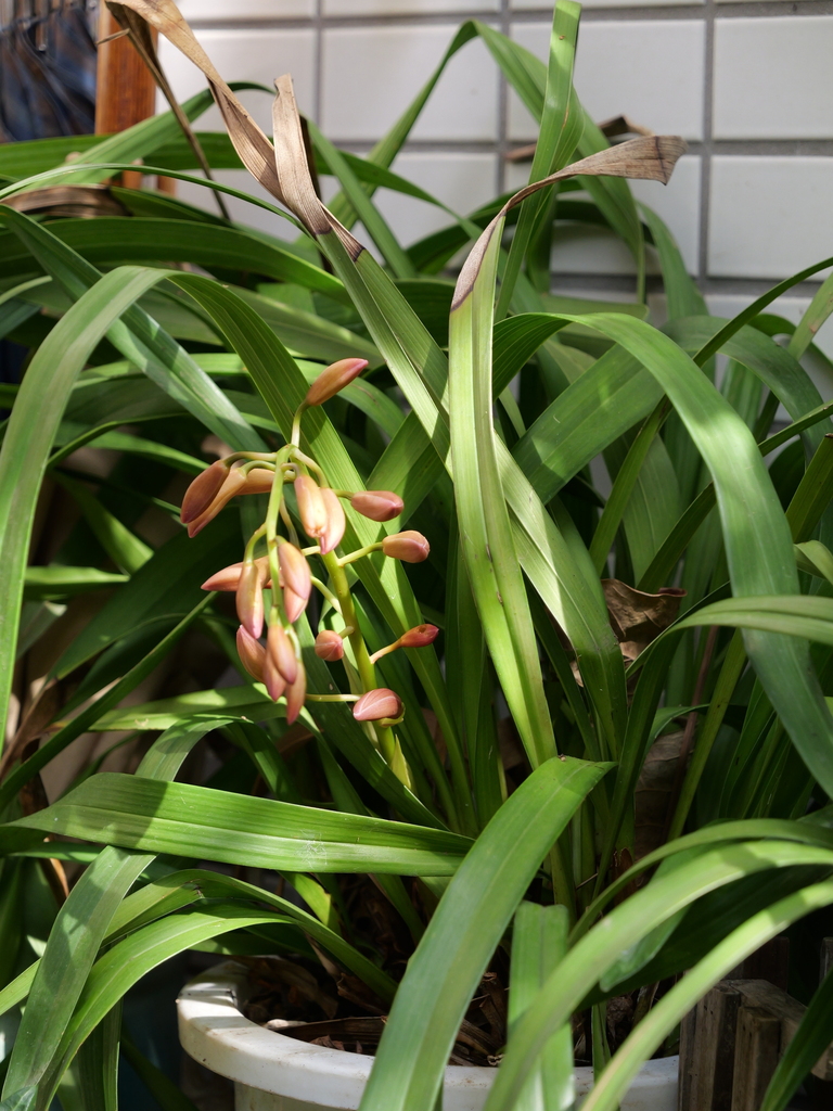 2025-03-25 14_14№(0051).JPG