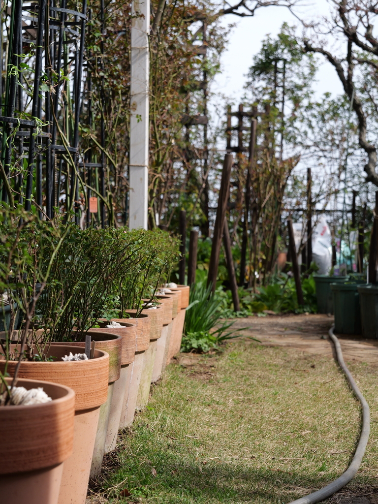 2025-03-25 14_14№(0055).JPG