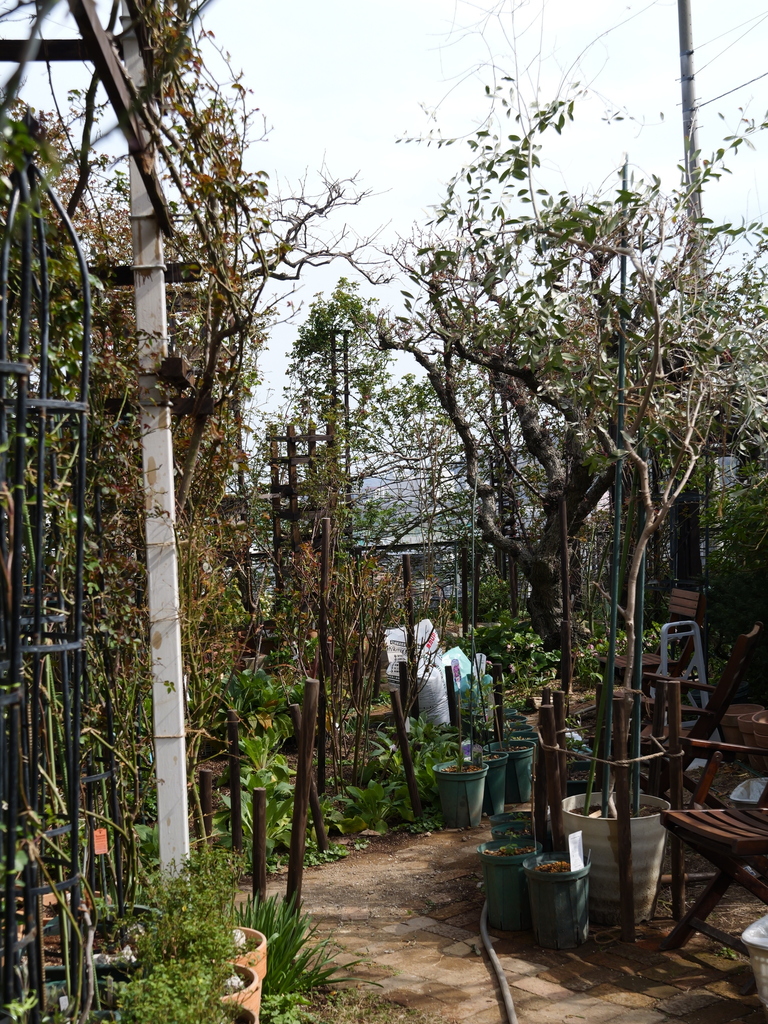 2025-03-25 14_14№(0057).JPG