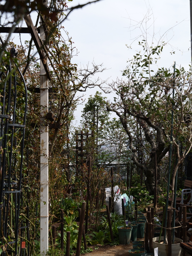 2025-03-25 14_14№(0058).JPG
