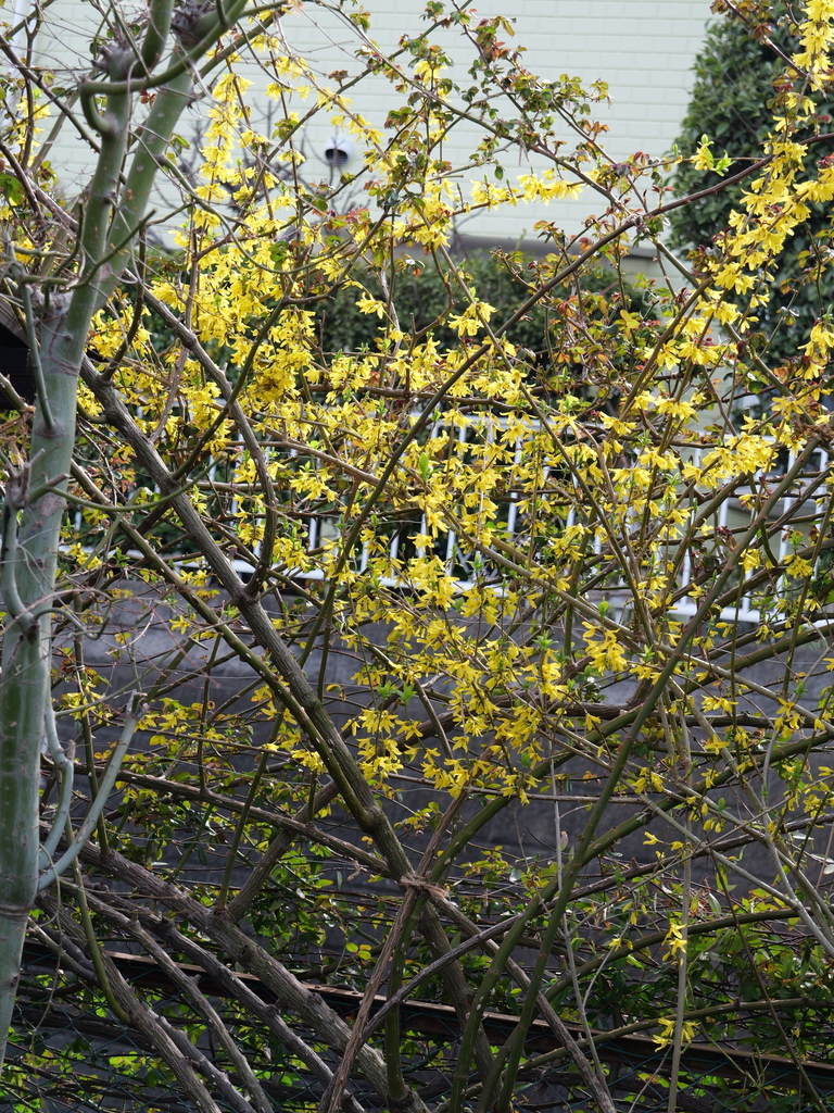 2025-03-25 14_15№(0069).JPG
