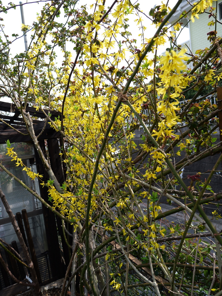 2025-03-25 14_15№(0070).JPG
