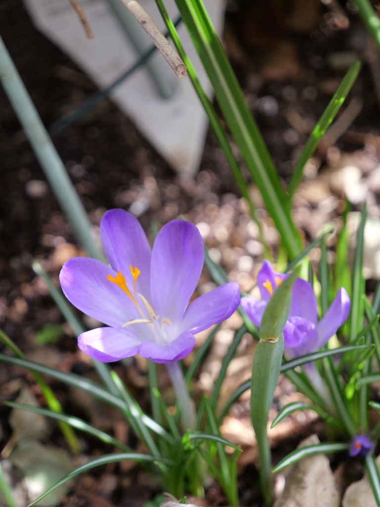 2025-03-25 14_17№(0102).JPG