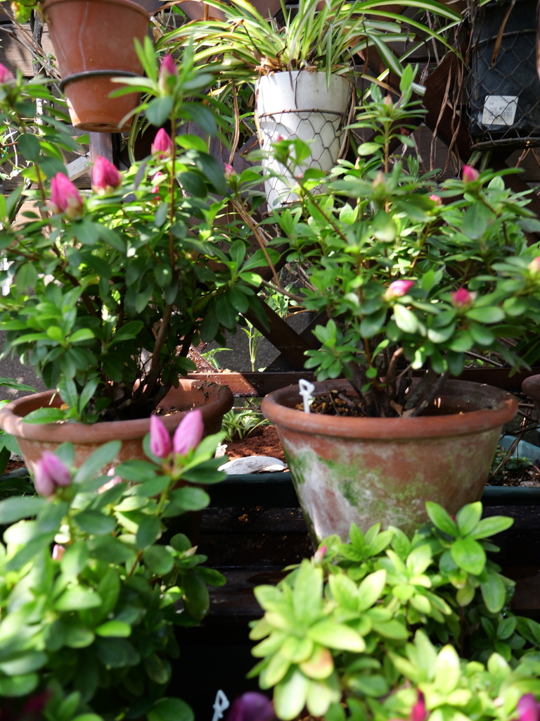2025-03-27 12_29№(0044).JPG