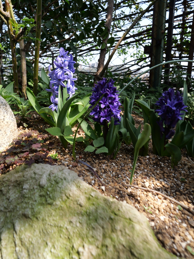 2025-03-27 12_31№(0054).JPG