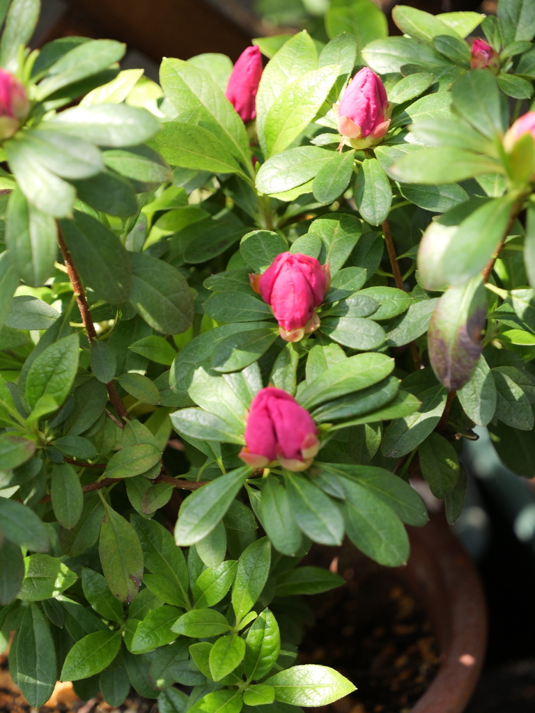 2025-03-27 12_37№(0107).JPG