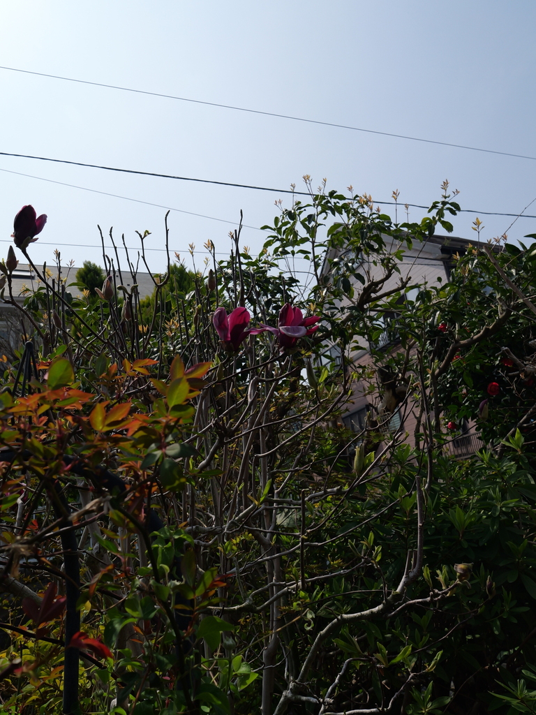 2025-03-27 12_37№(0126).JPG