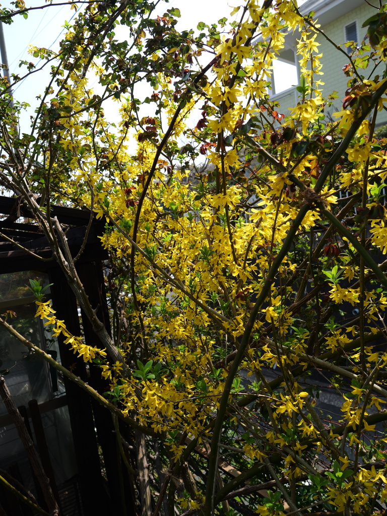 2025-03-27 12_38№(0130).JPG