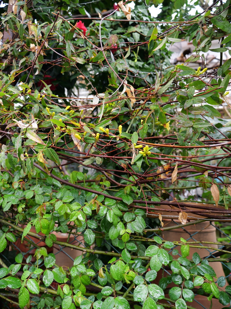 2025-03-28 10_52№(0006).JPG
