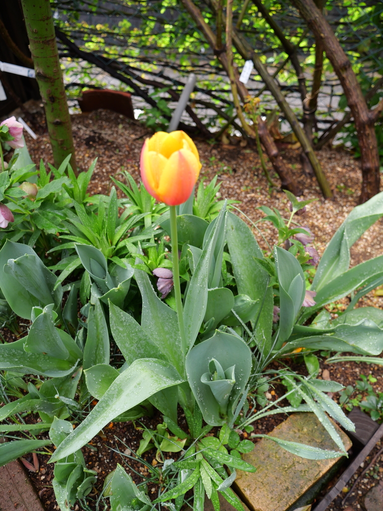 2025-03-28 11_01№(0038).JPG