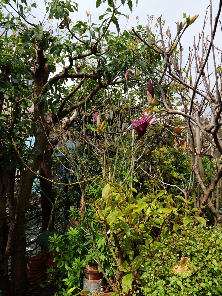 2025-03-28 11_01№(0041).JPG