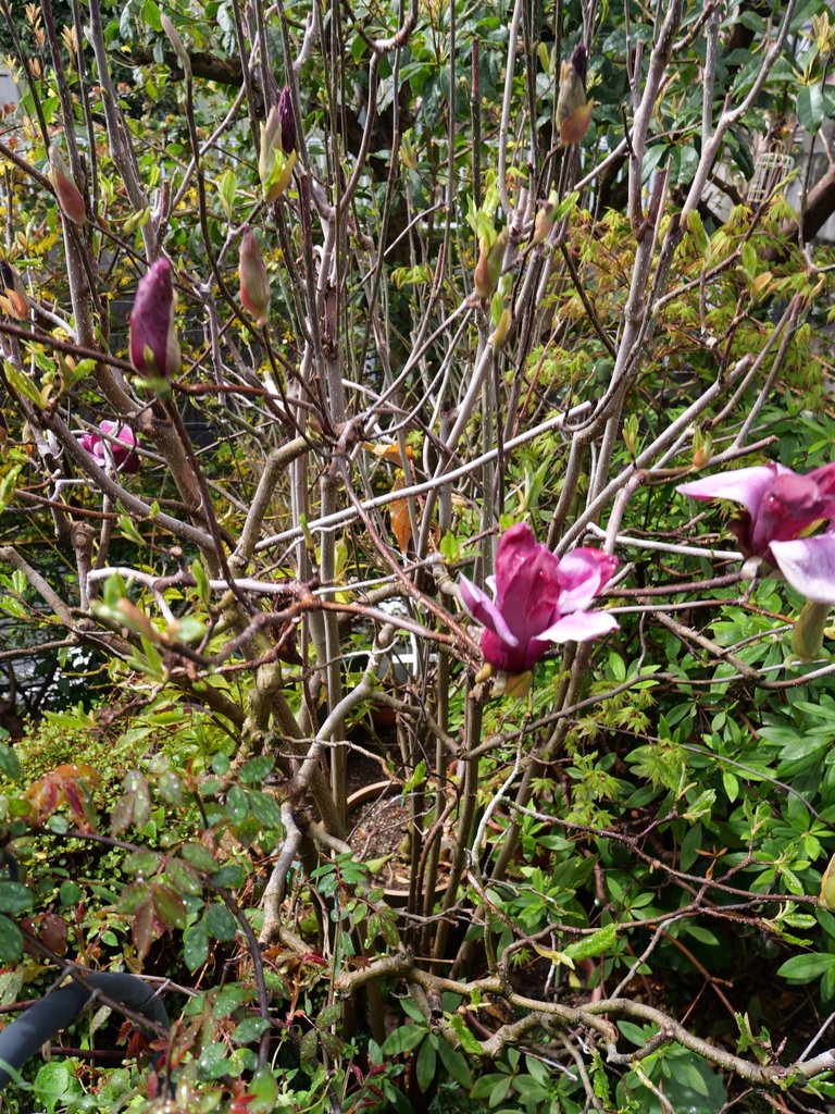 2025-03-28 11_02№(0046).JPG