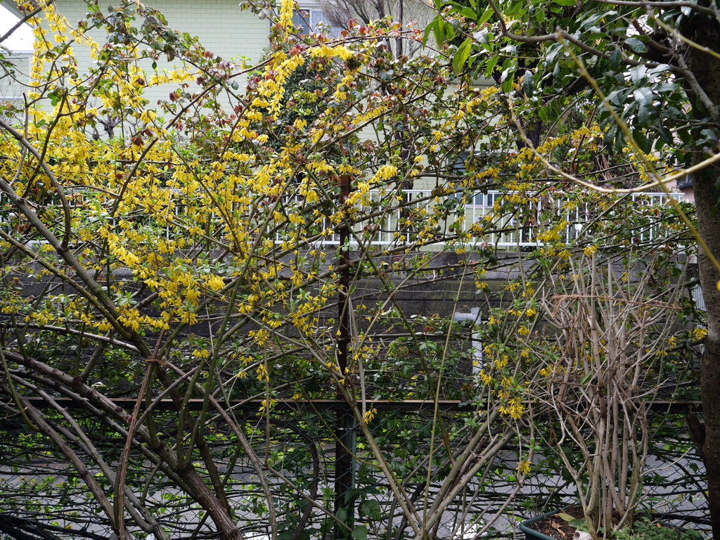 2025-03-28 11_42№(0135).JPG