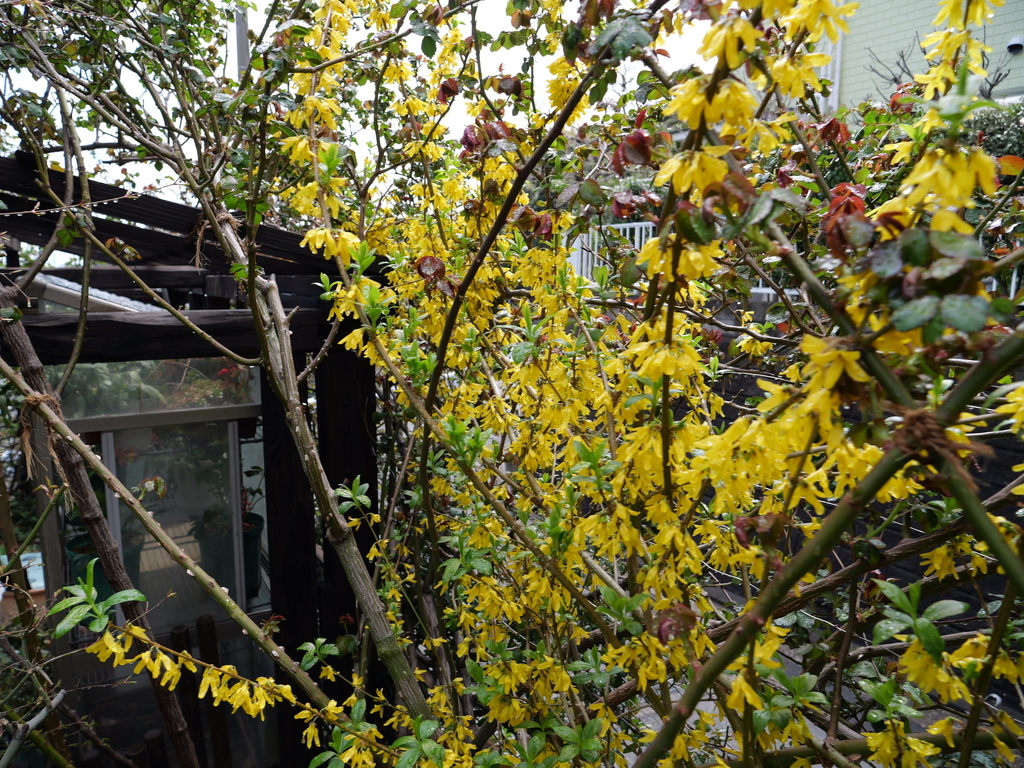 2025-03-28 11_43№(0137).JPG