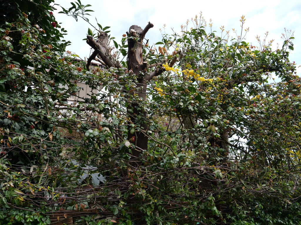 2025-03-28 11_43№(0138).JPG