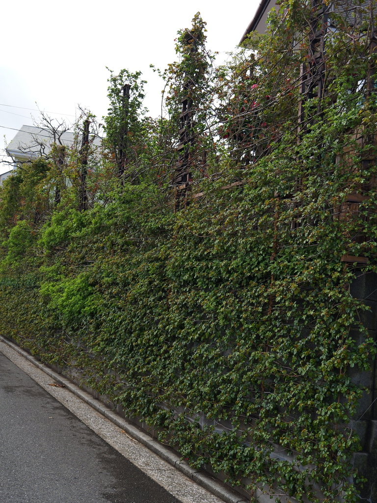 2025-03-28 12_04№(0164).JPG