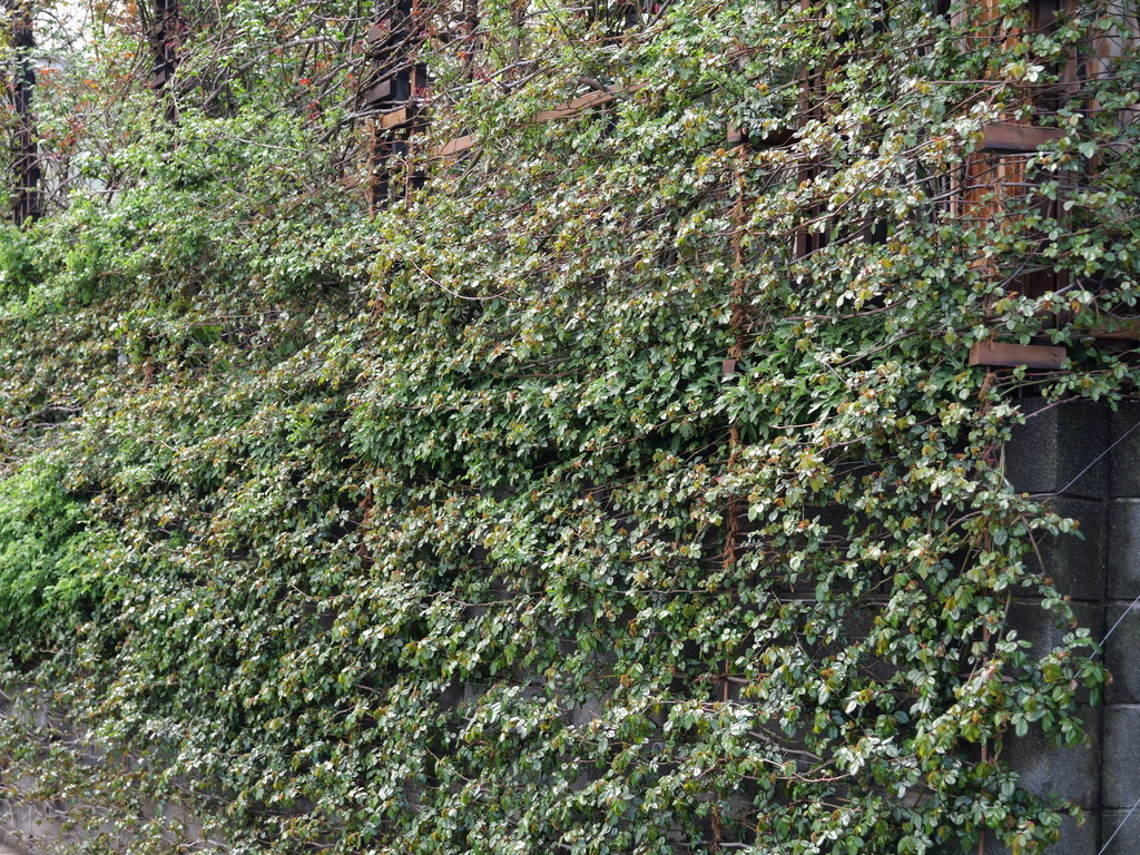 2025-03-28 12_04№(0166).JPG
