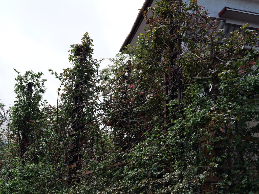 2025-03-28 12_04№(0167).JPG