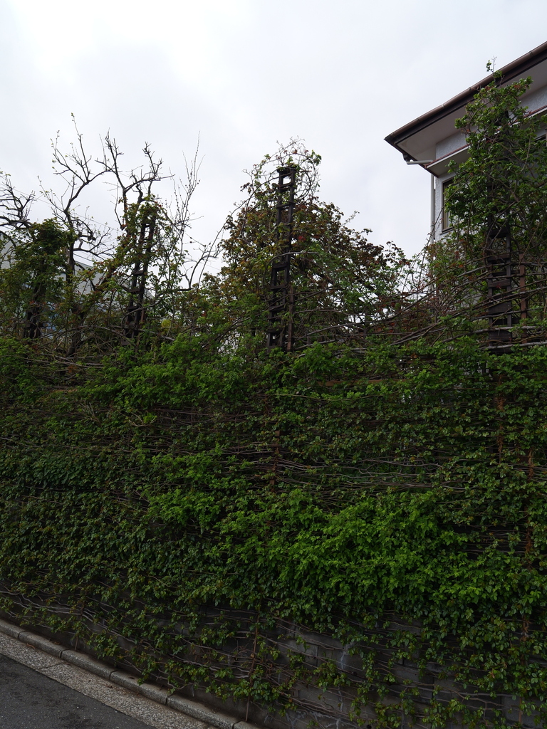 2025-03-28 12_05№(0172).JPG