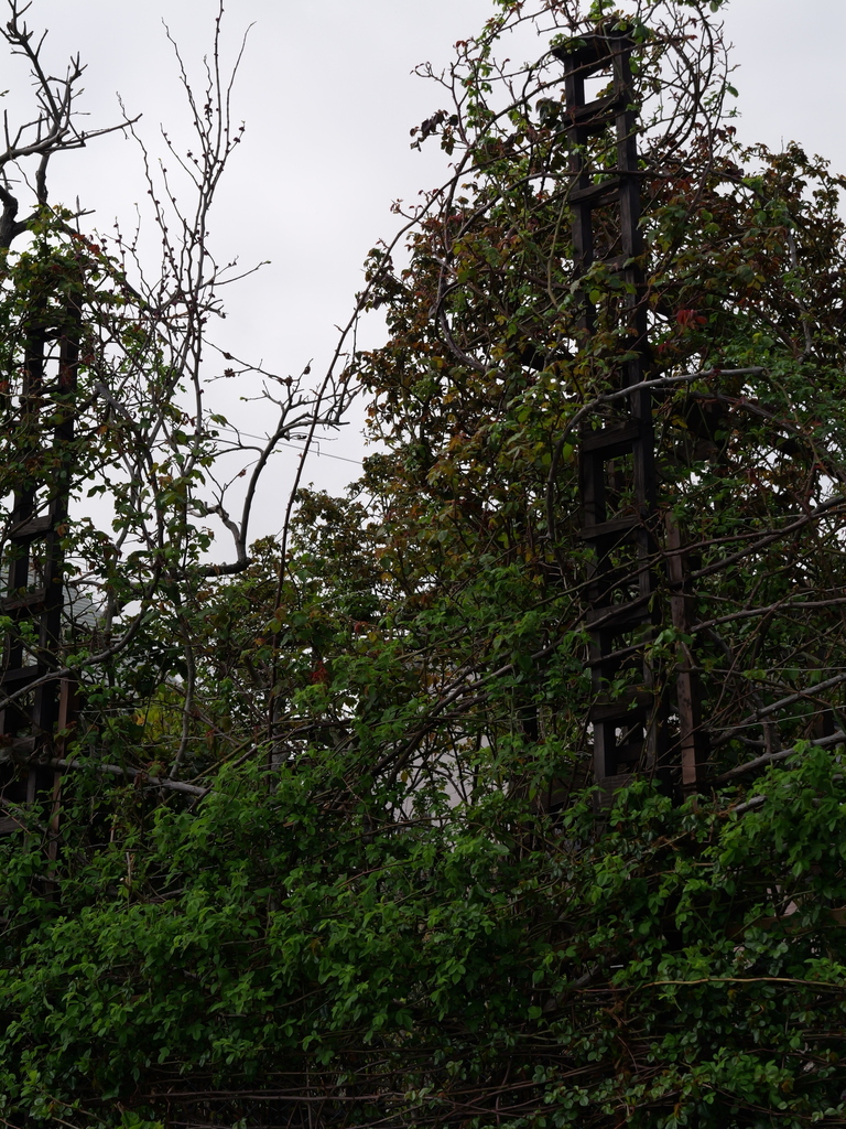 2025-03-28 12_05№(0178).JPG