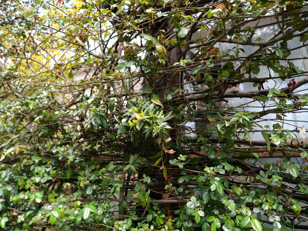 2025-03-28 12_06№(0197).JPG