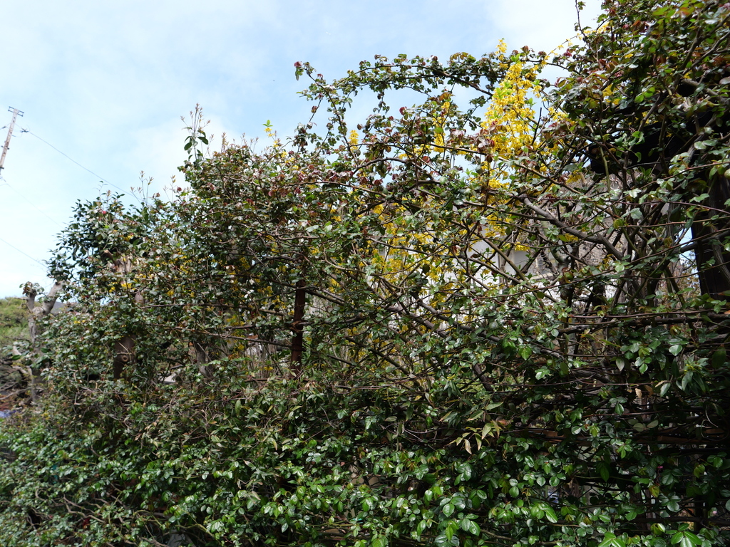 2025-03-28 12_06№(0205).JPG