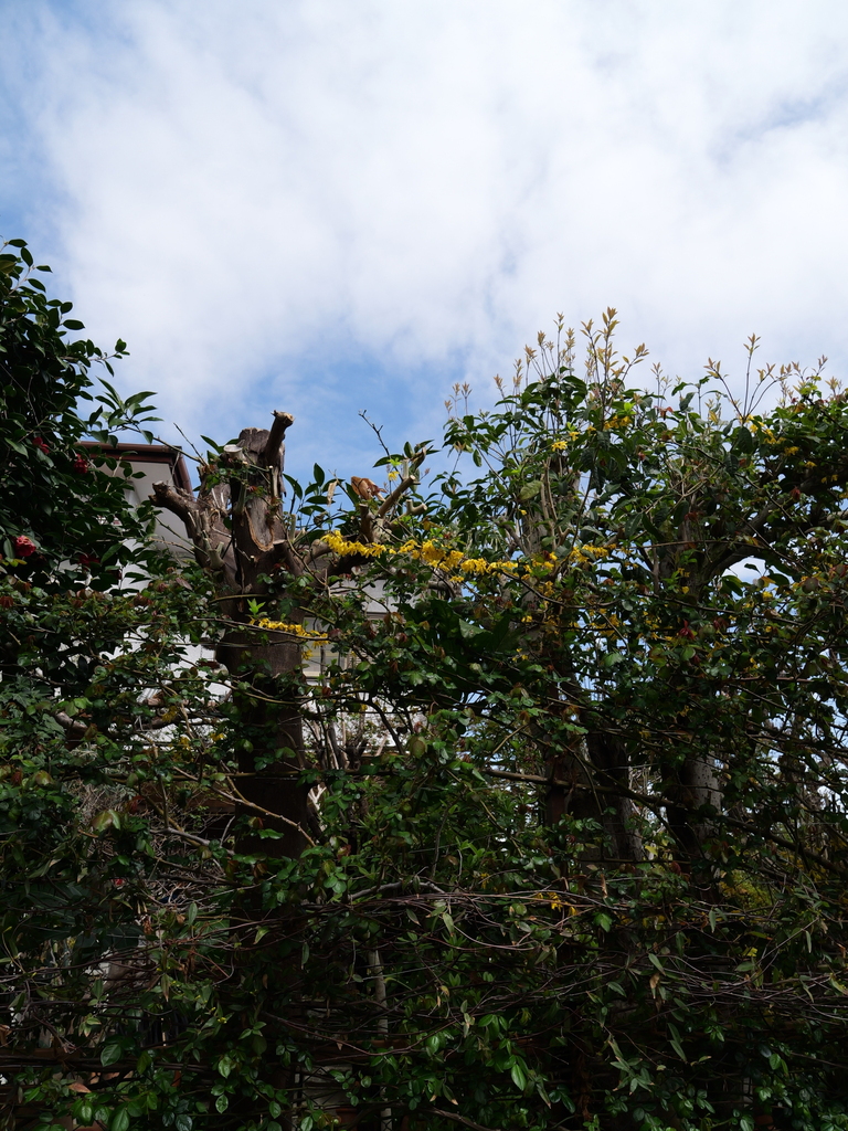2025-03-28 12_06№(0206).JPG