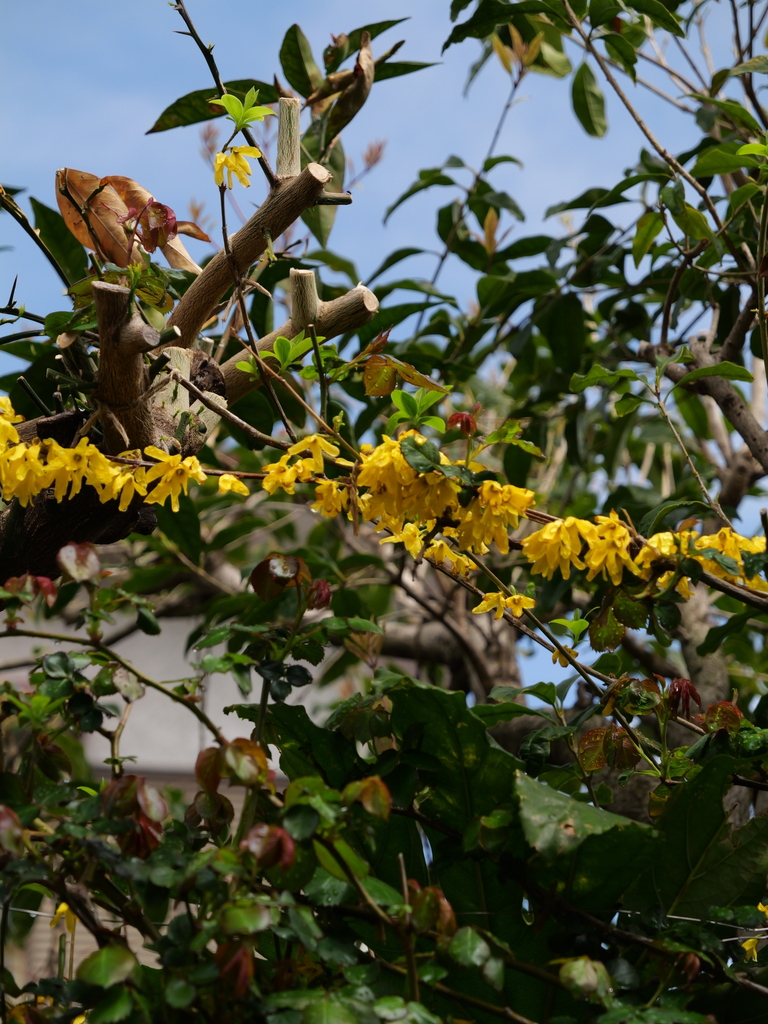 2025-03-28 12_06№(0207).JPG