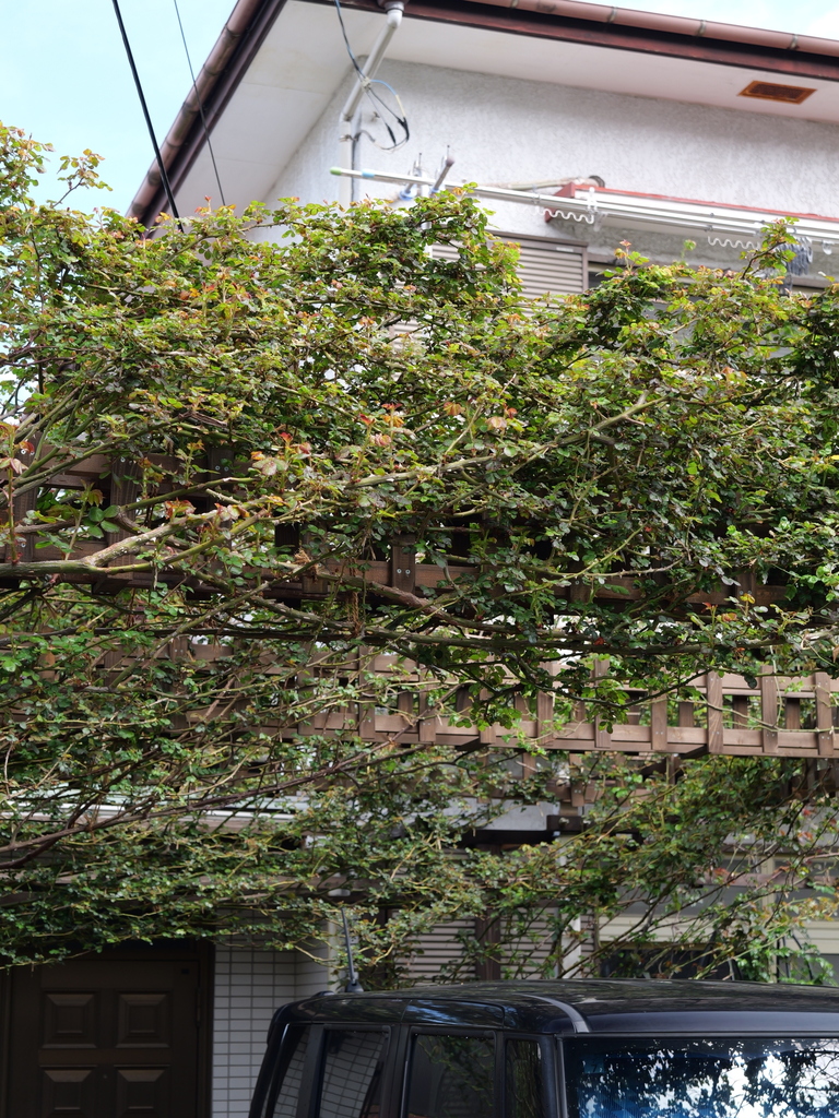 2025-03-28 12_07№(0229).JPG