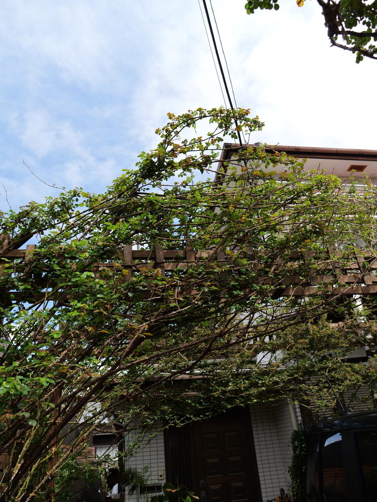 2025-03-28 12_08№(0244).JPG