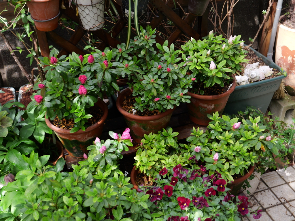 2025-03-28 12_09№(0296).JPG