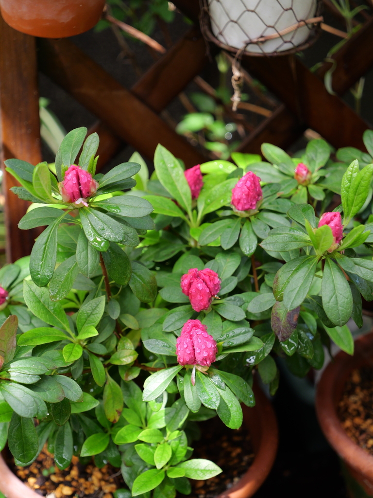 2025-03-28 12_09№(0297).JPG